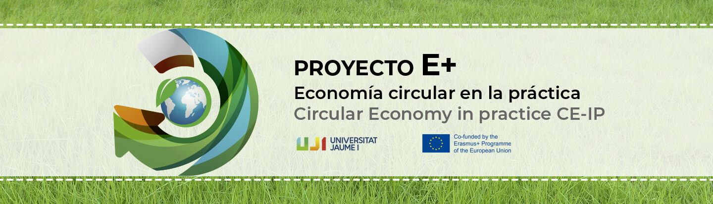 Circular Economy in Practice